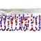 1 Yard Red White and Blue Beaded Loop Fringe Trim for Sewing Crafts 1.50 Inch Width